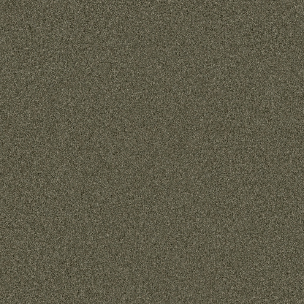 Velvet Touch I - Rerooted Nature