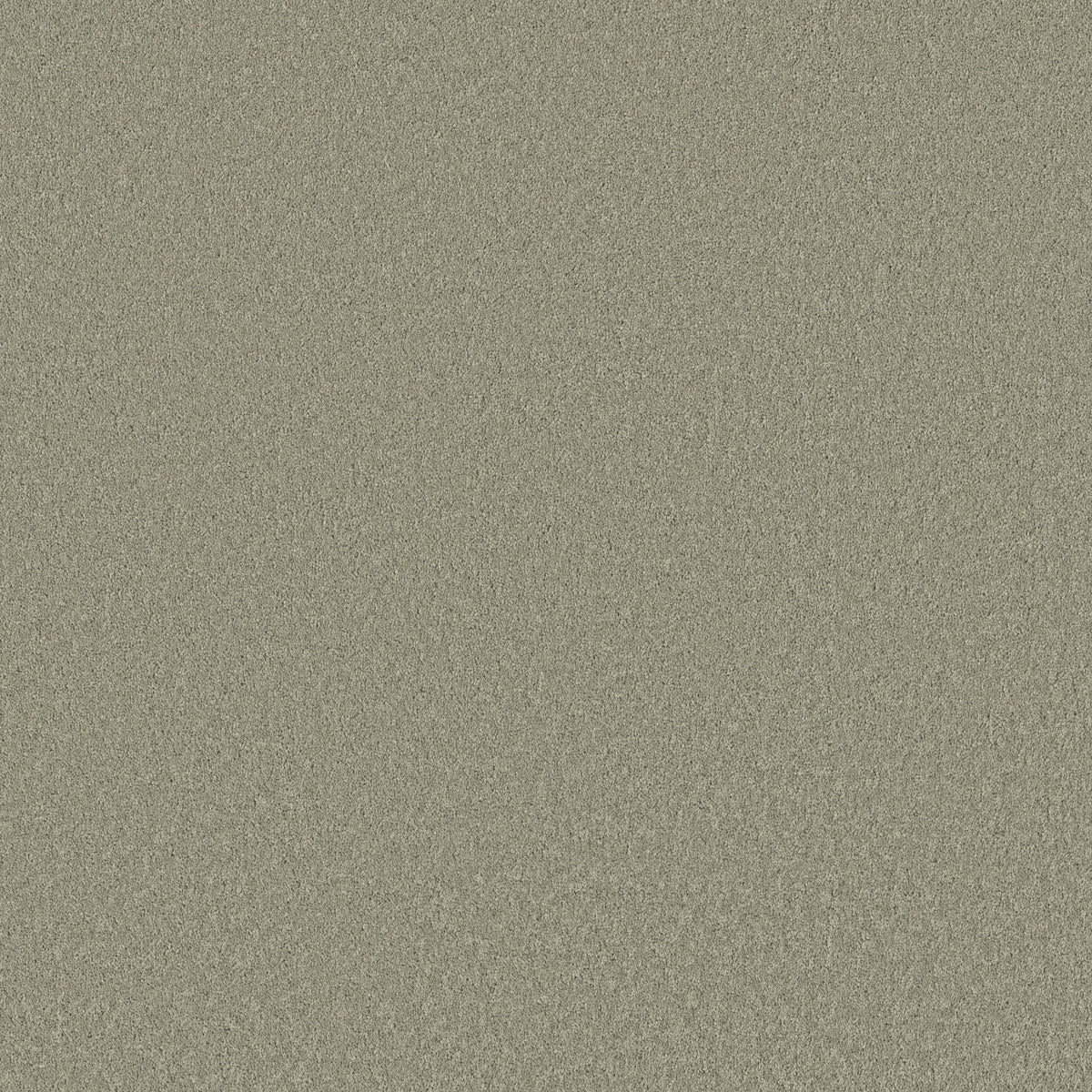 Velvet Touch I - Organic Grown