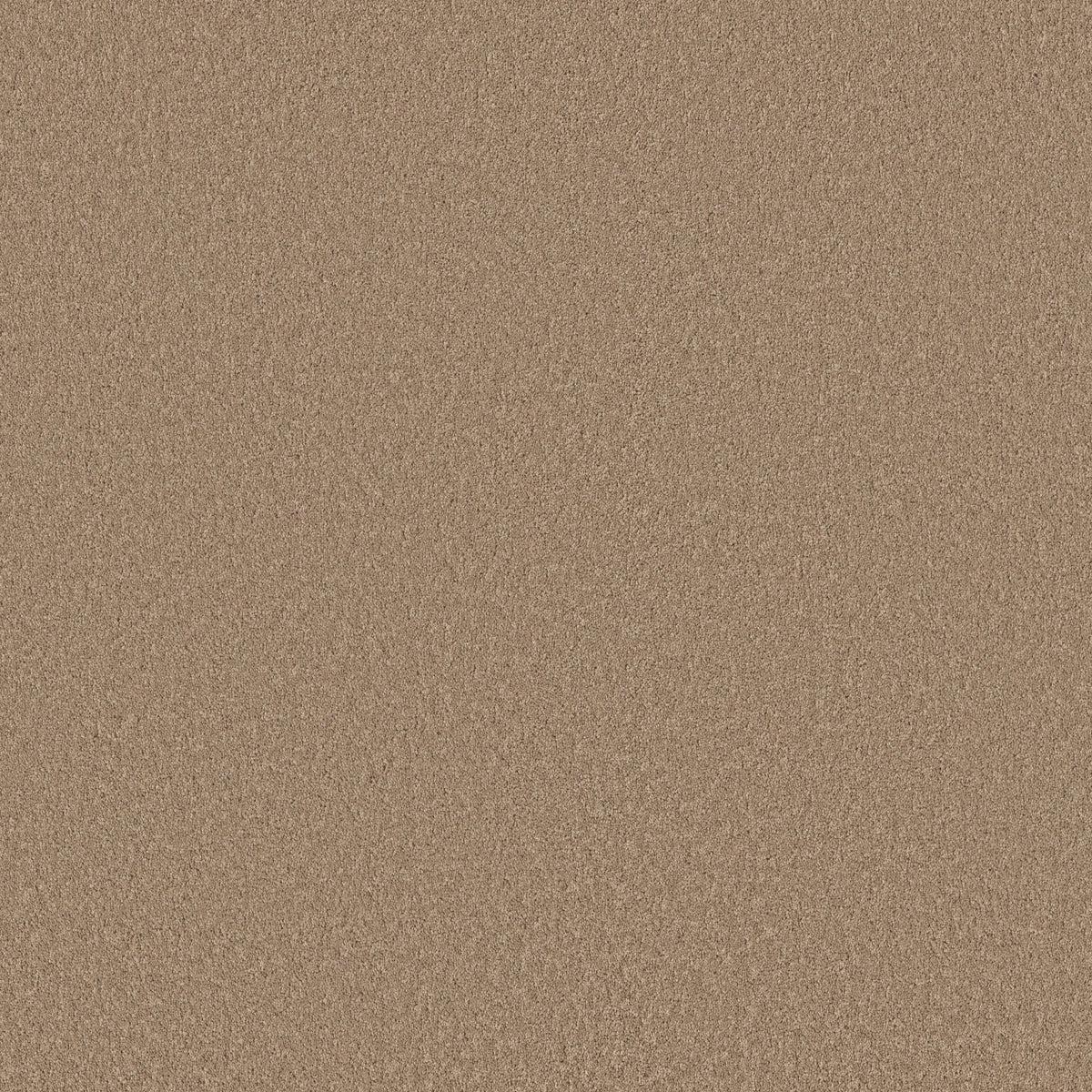 Velvet Touch I - Canoe