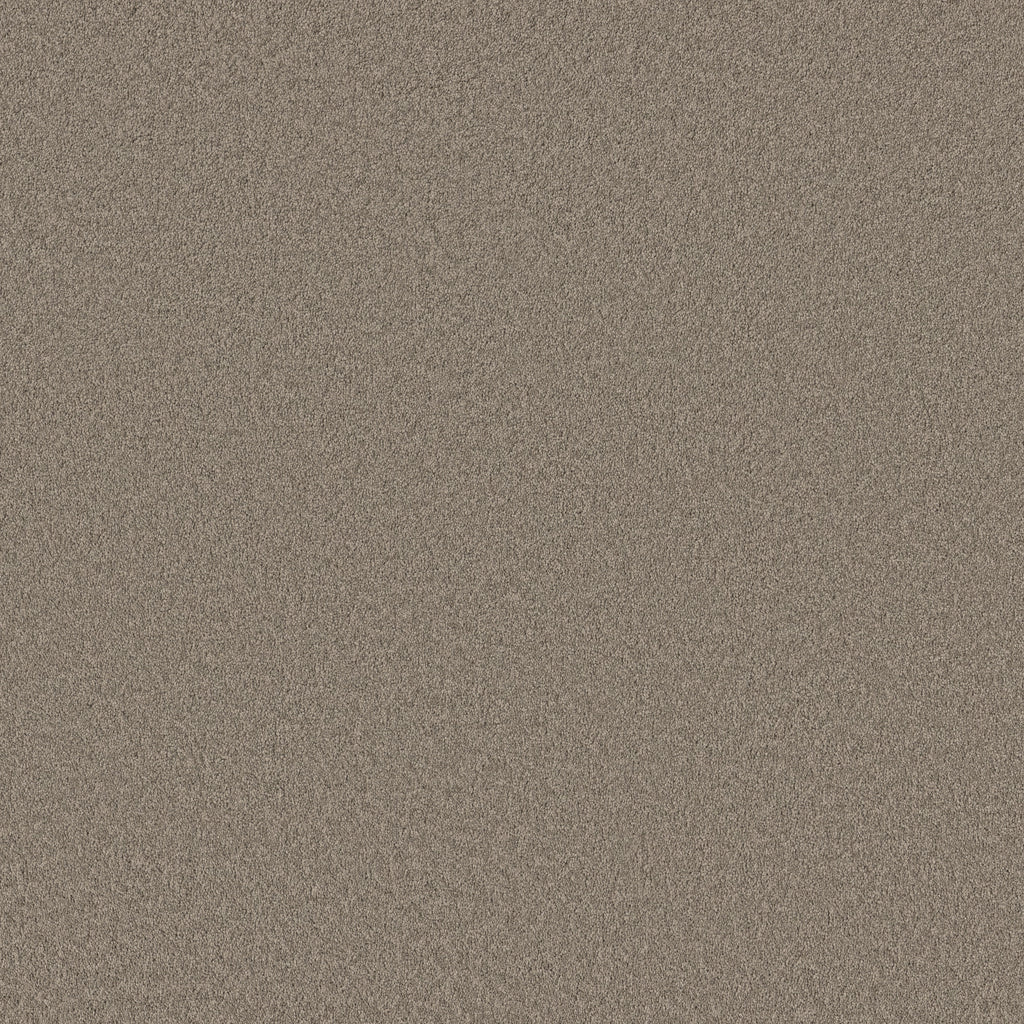 Velvet Touch I - Plaza Taupe