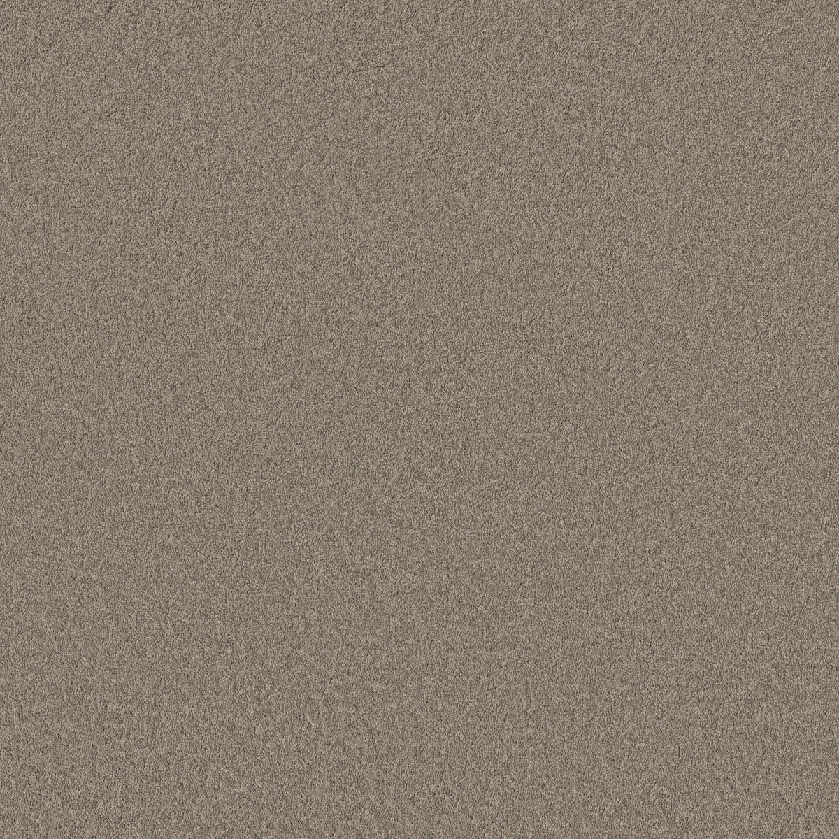 Velvet Touch I - Plaza Taupe