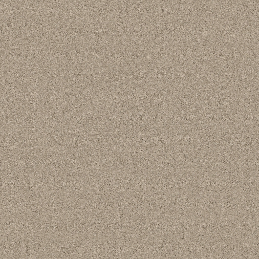 Velvet Touch II - Chic Greige