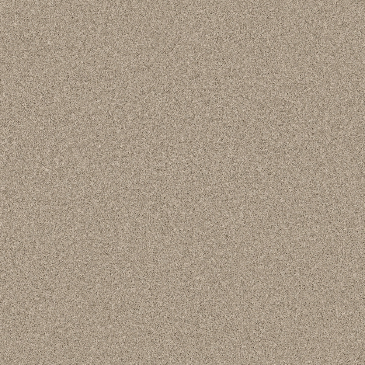 Velvet Touch II - Chic Greige