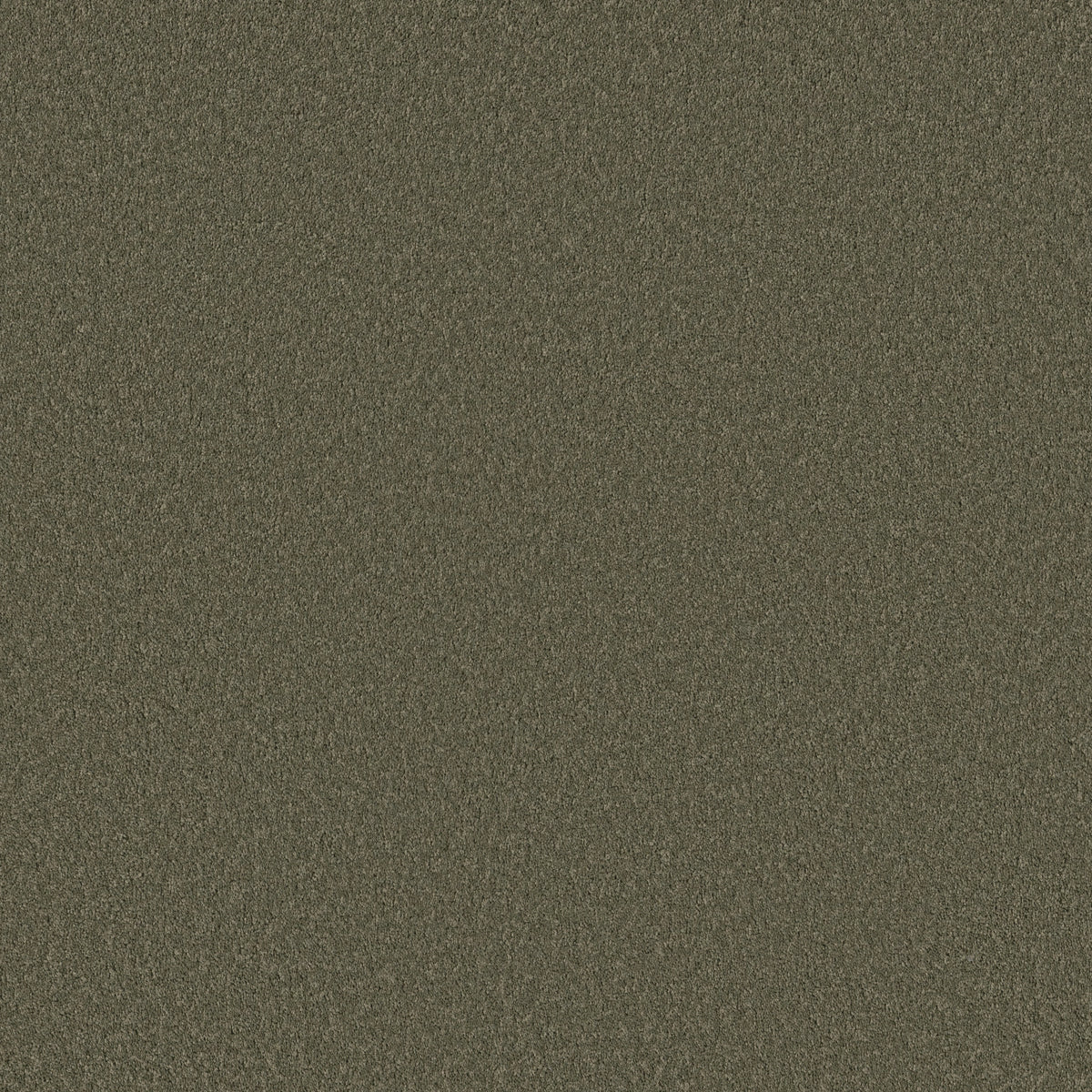 Velvet Touch II - Rerooted Nature