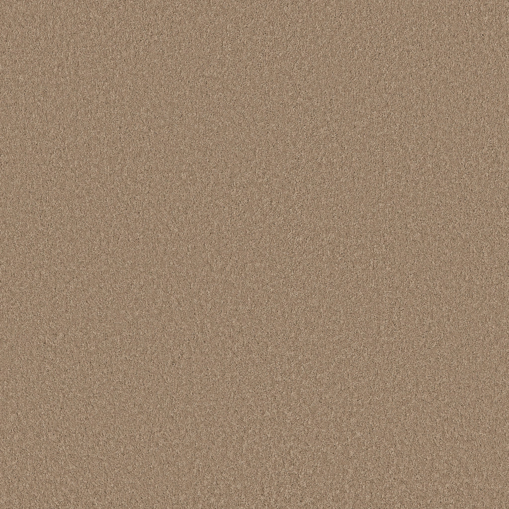 Velvet Touch II - Canoe