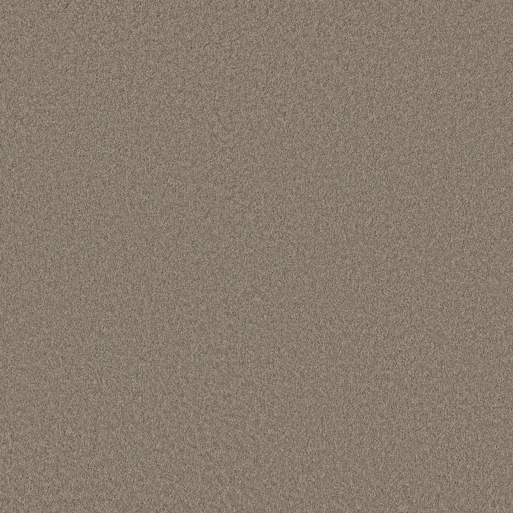 Velvet Touch II - Plaza Taupe