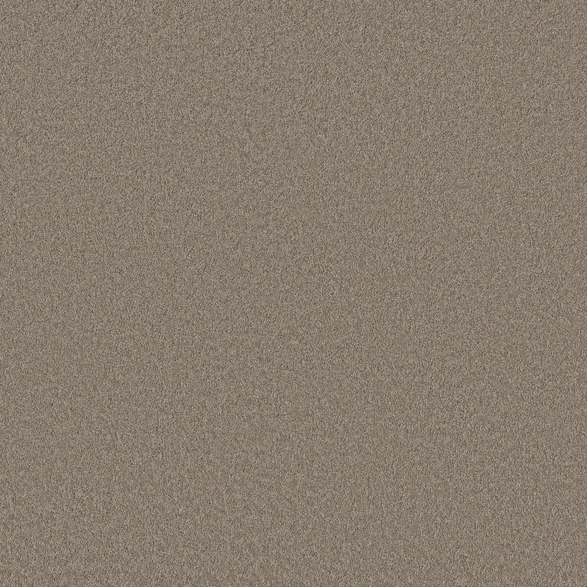 Velvet Touch II - Plaza Taupe