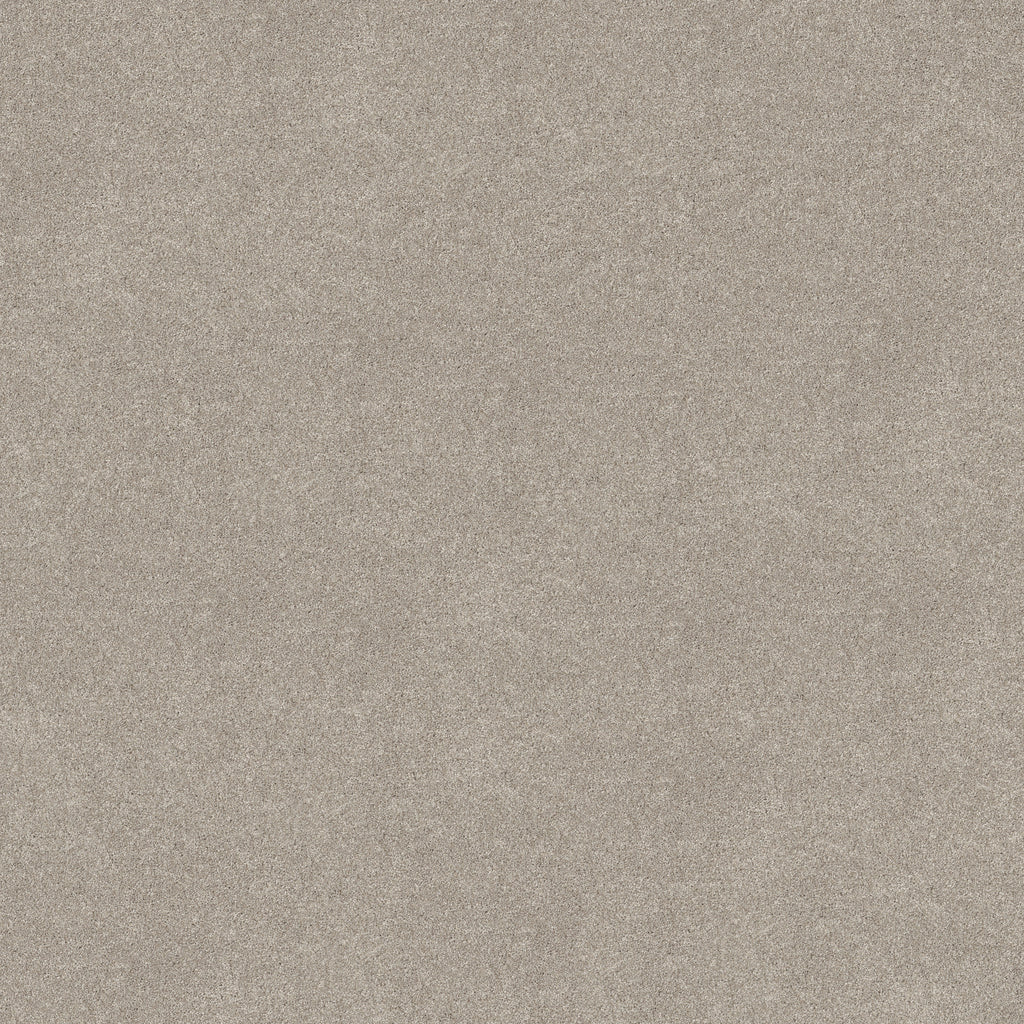 Vivid Touch II - Chic Taupe