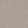 Chic Taupe