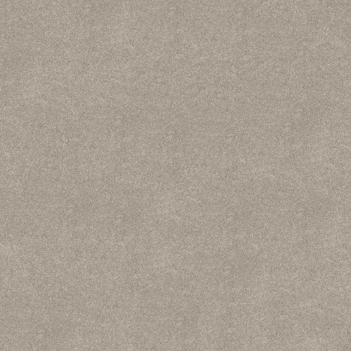 Vivid Touch II - Chic Taupe
