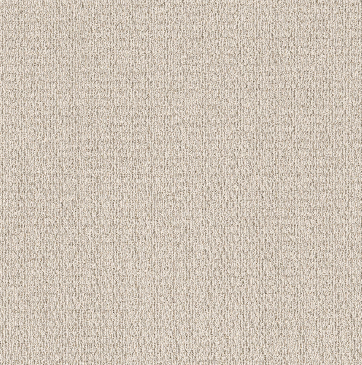 Cozy Embrace - Ivory