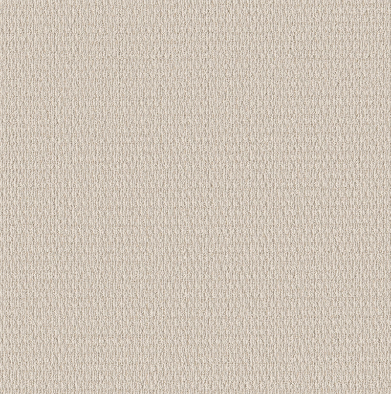 Cozy Embrace - Ivory