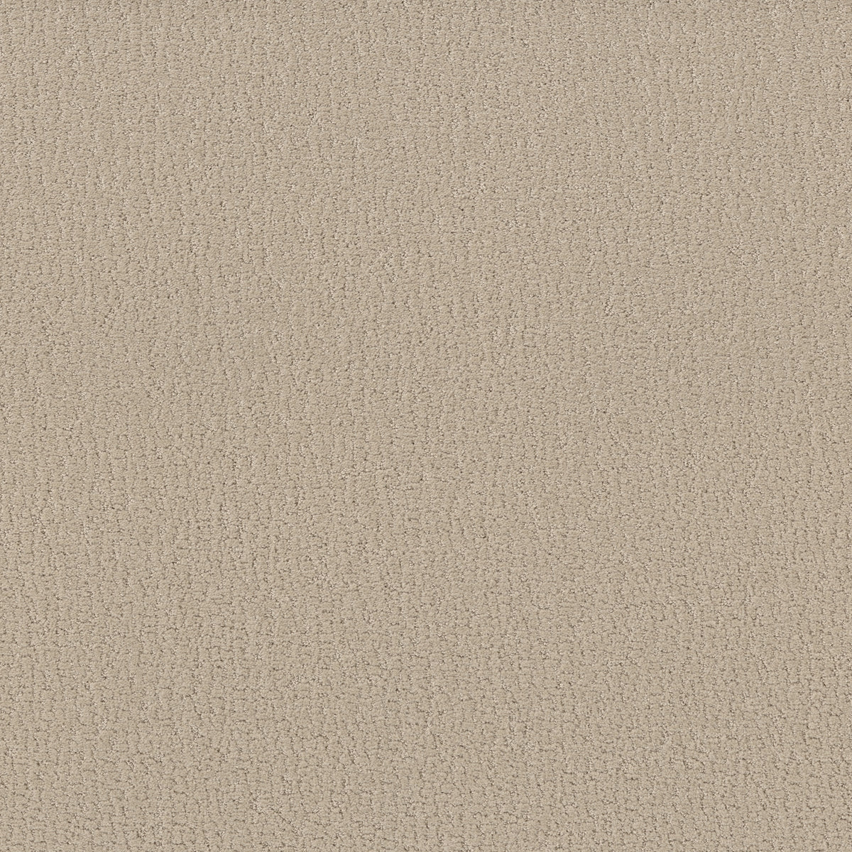 Studio Set - Twine