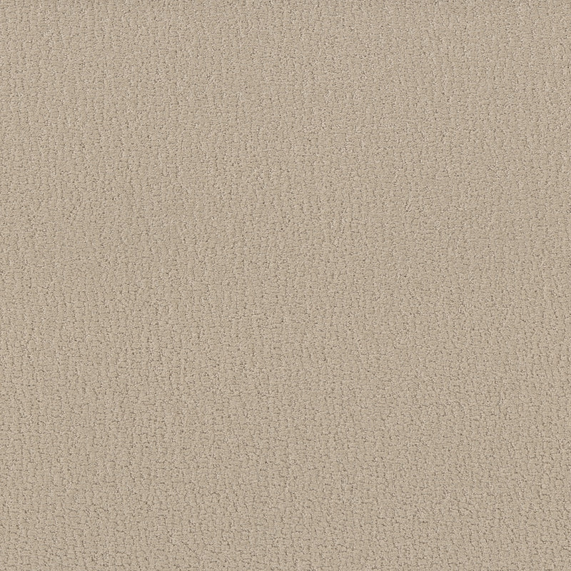 Studio Set - Twine