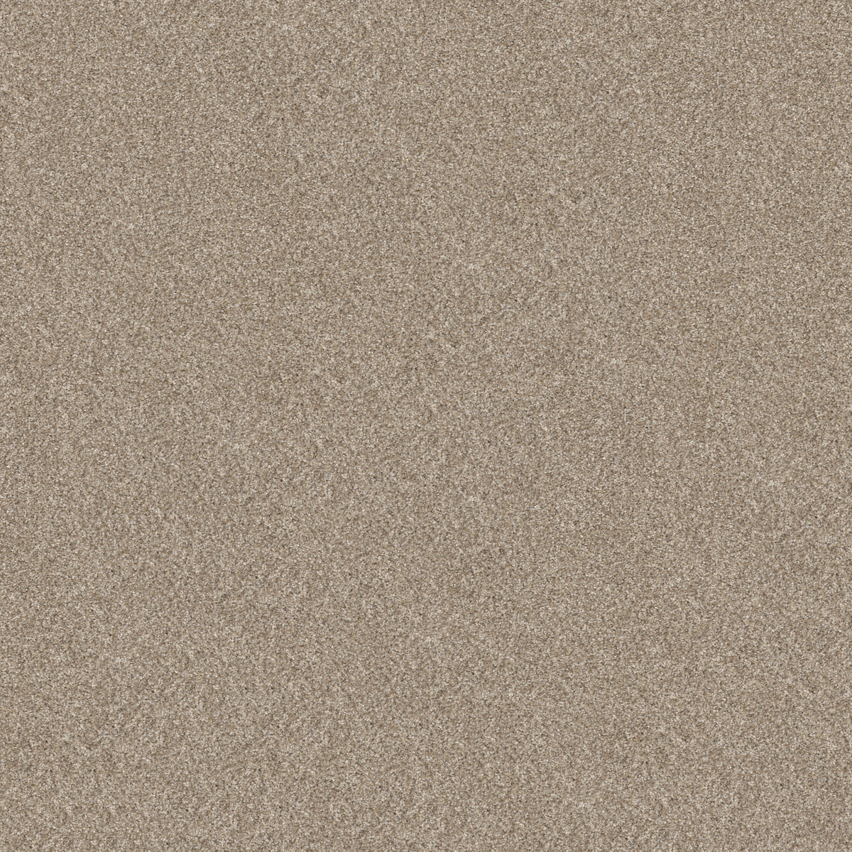 Refined Beauty - Soft Sand