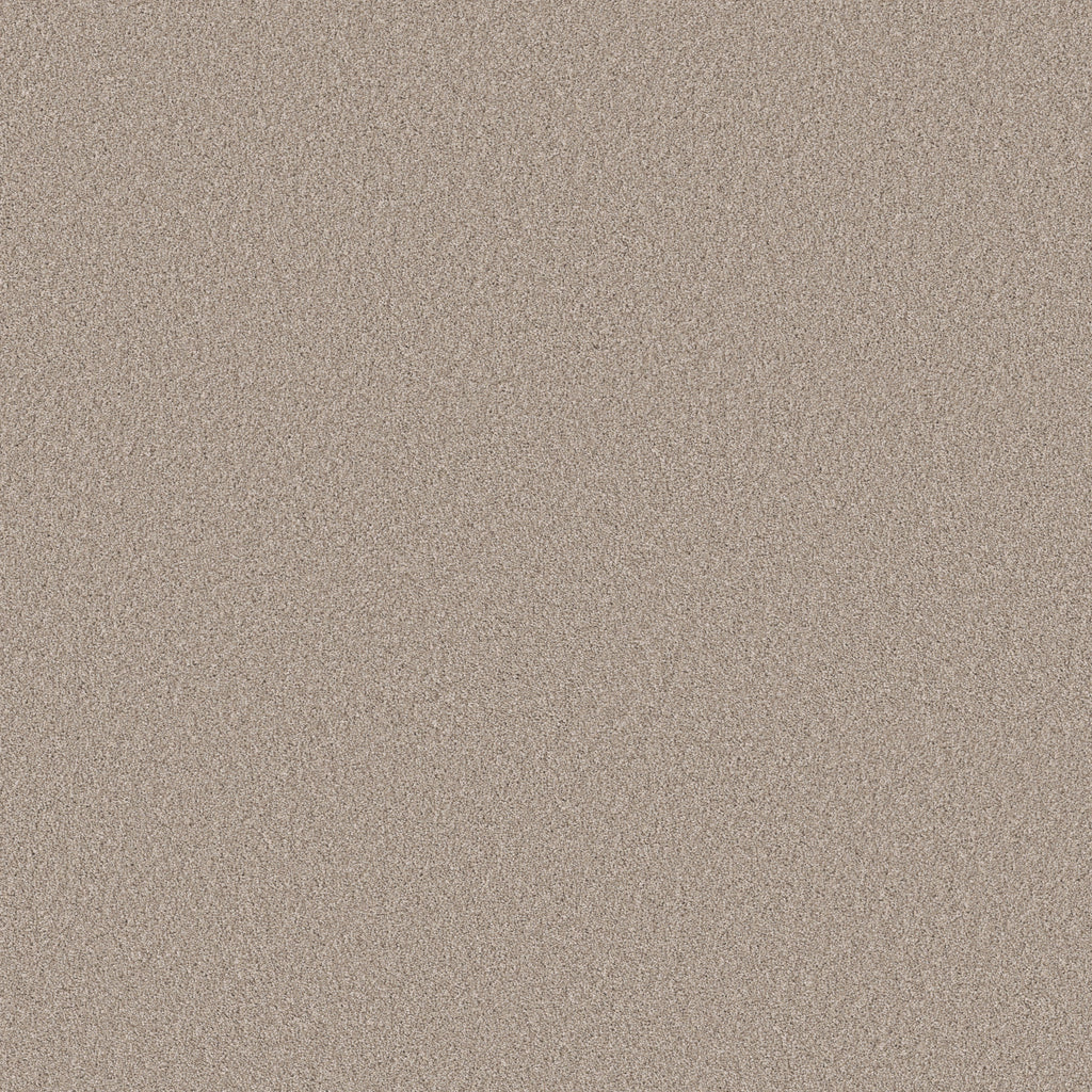 Pure Affection Tonal - Chic Taupe