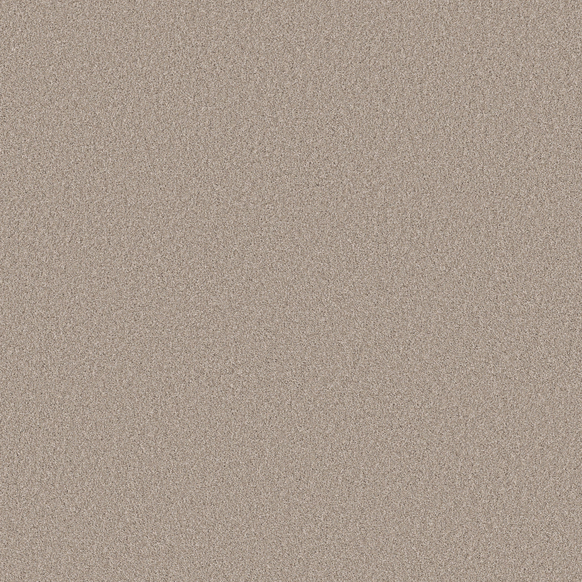 Pure Affection Tonal - Chic Taupe