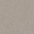 Chic Taupe