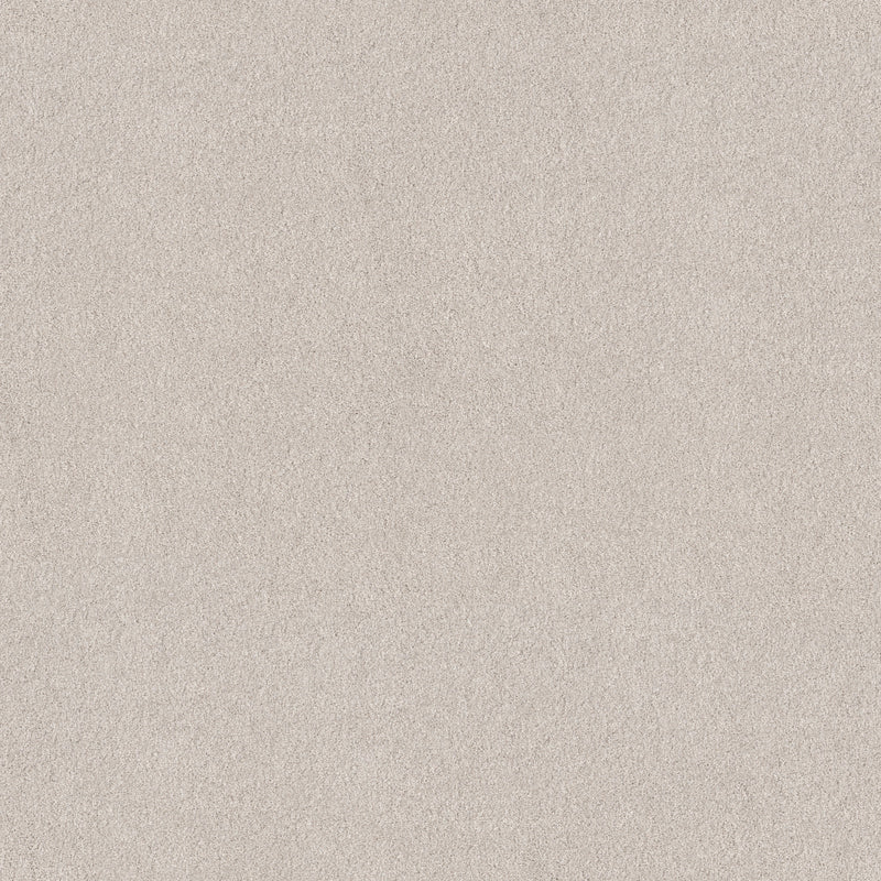 Blended Touch I - Kashmir White