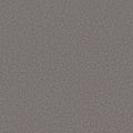 Gray Granite