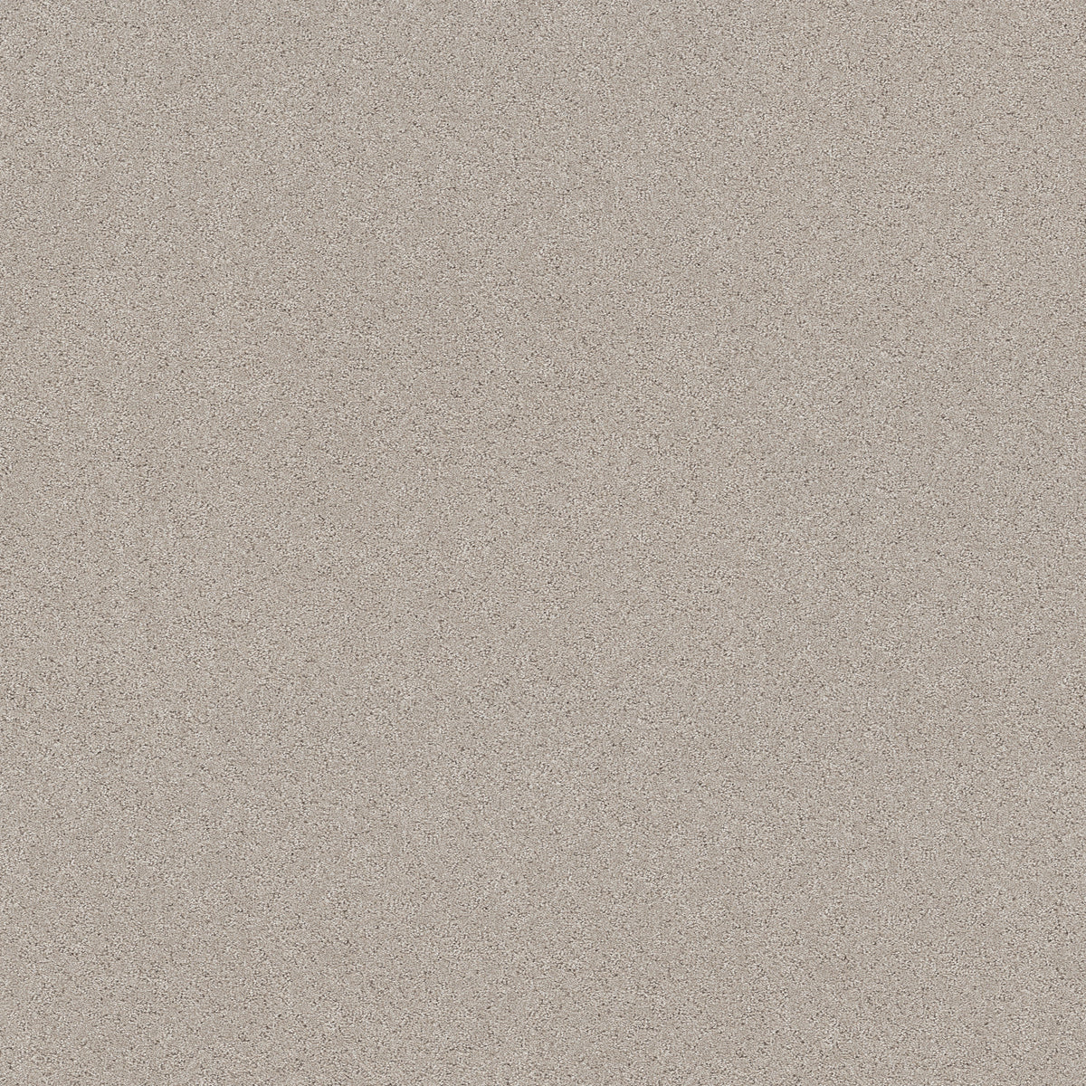 Secret Adventure - Beige Mist
