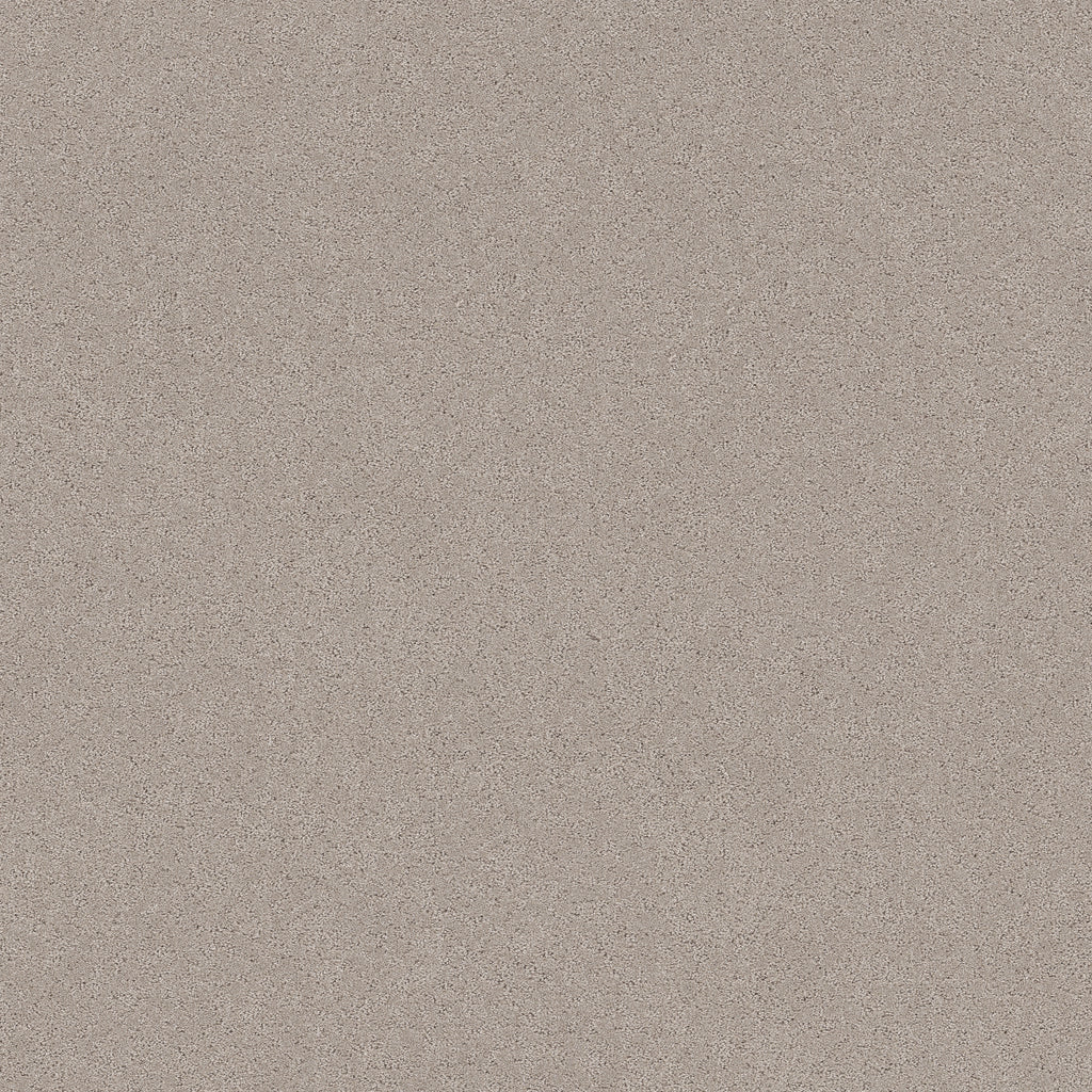 Secret Adventure - Chic Taupe