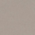 Chic Taupe