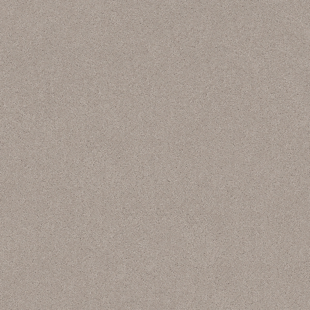Secret Adventure - Chic Taupe