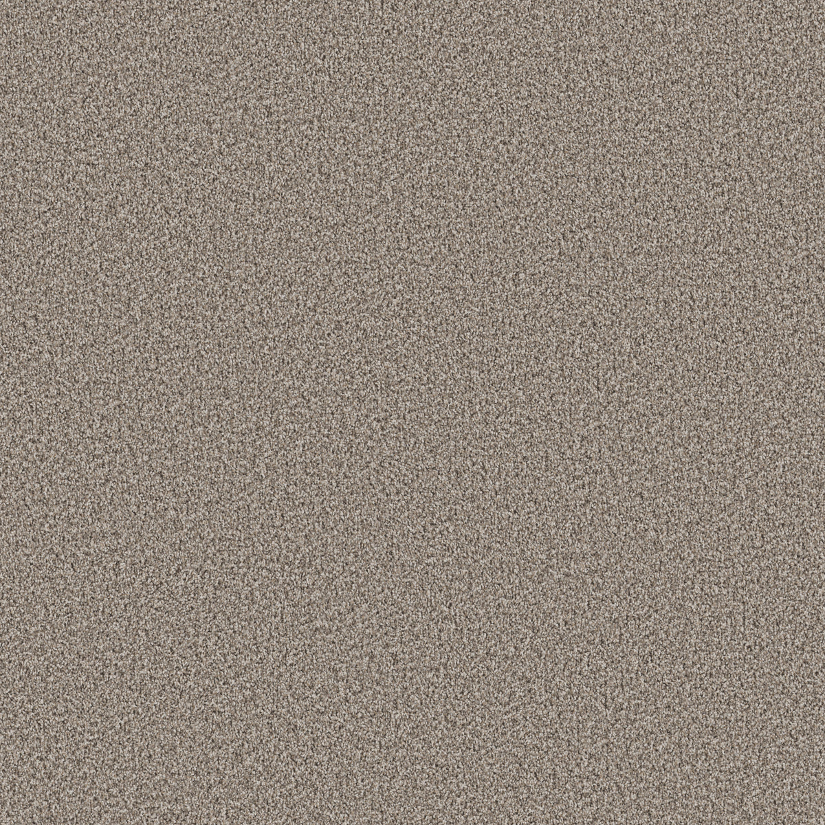Ramped Up - Natural Stone