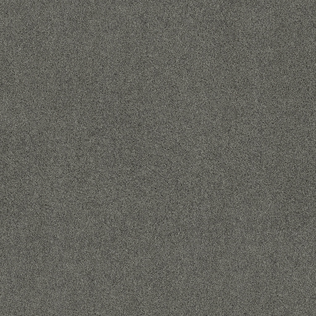 Acadia Park - Mineralite