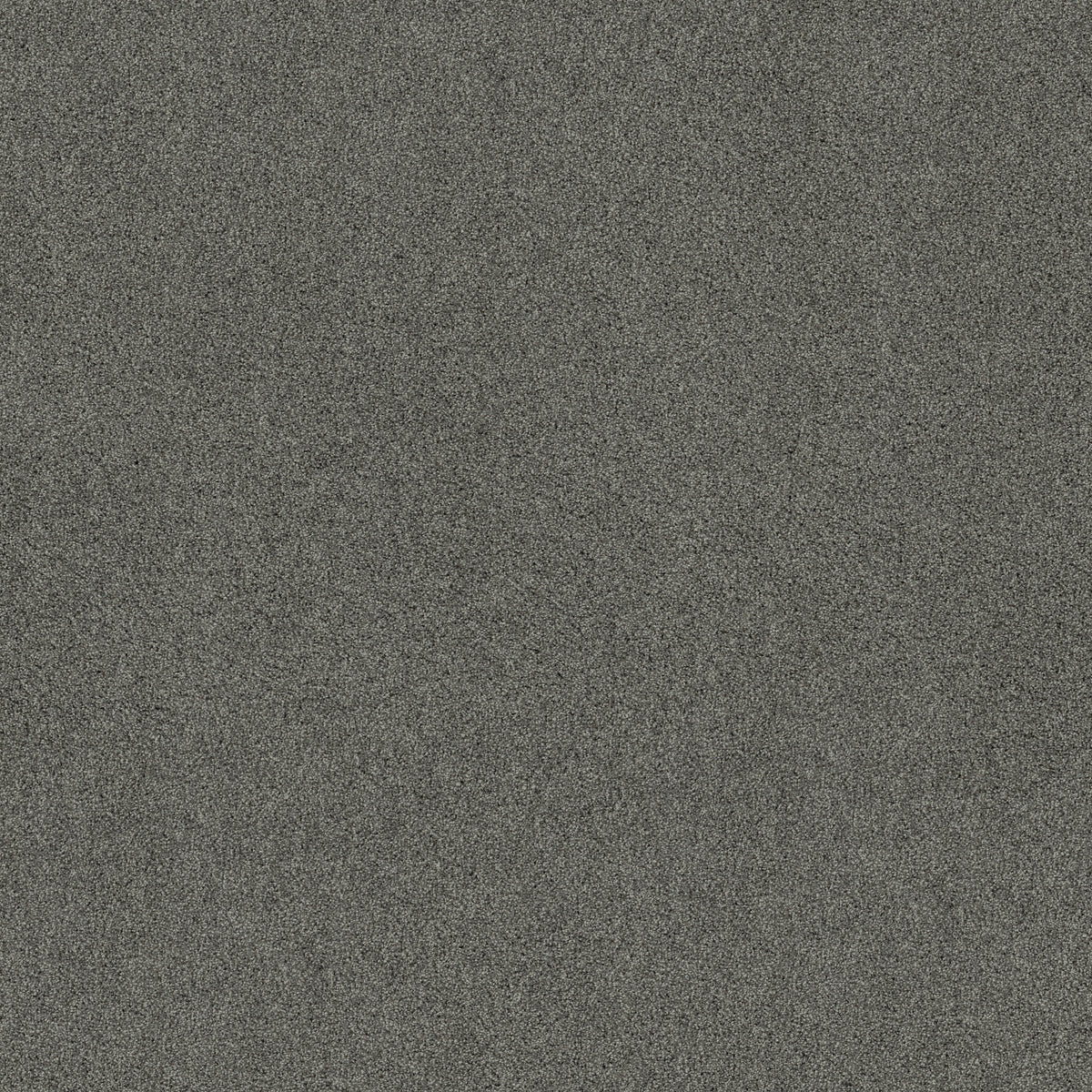 Acadia Park - Mineralite