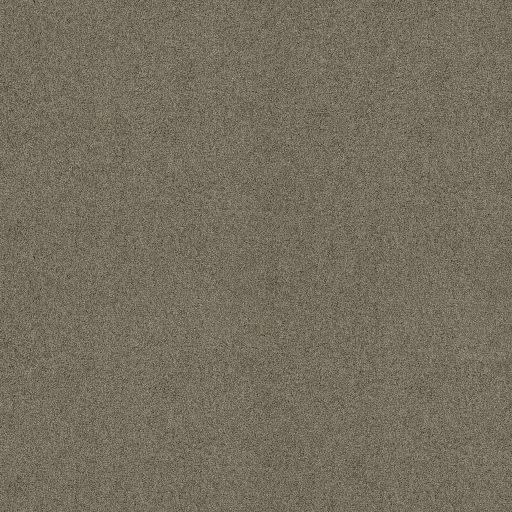 Acadia Park - City Gray