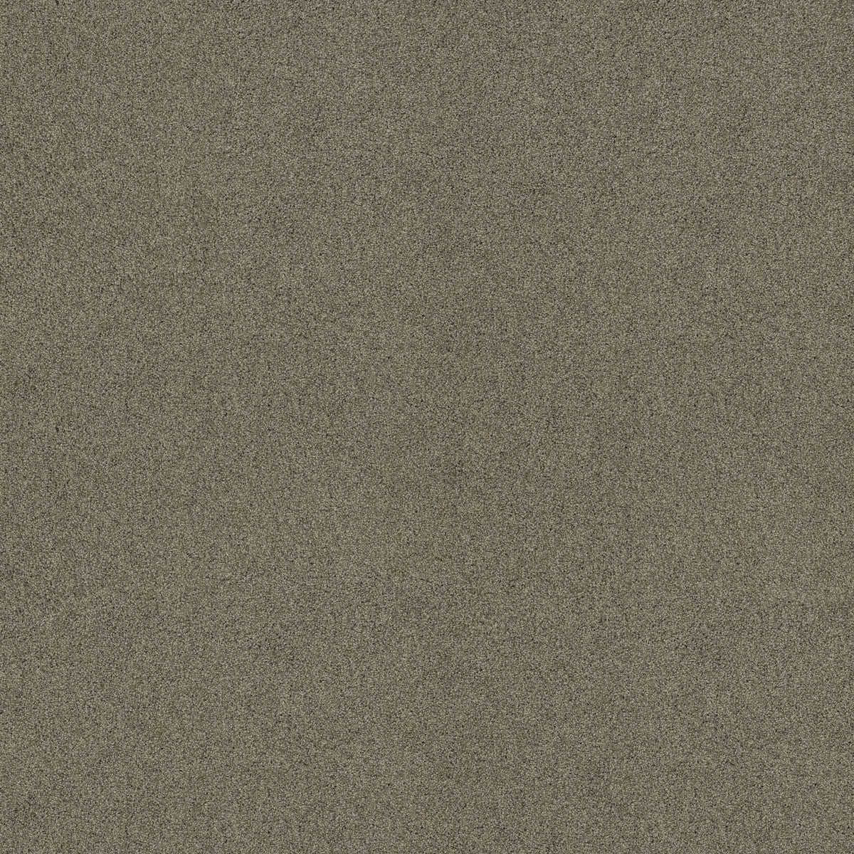 Acadia Park - City Gray
