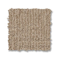 Parchment