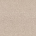Wanderer - Cotton Tail