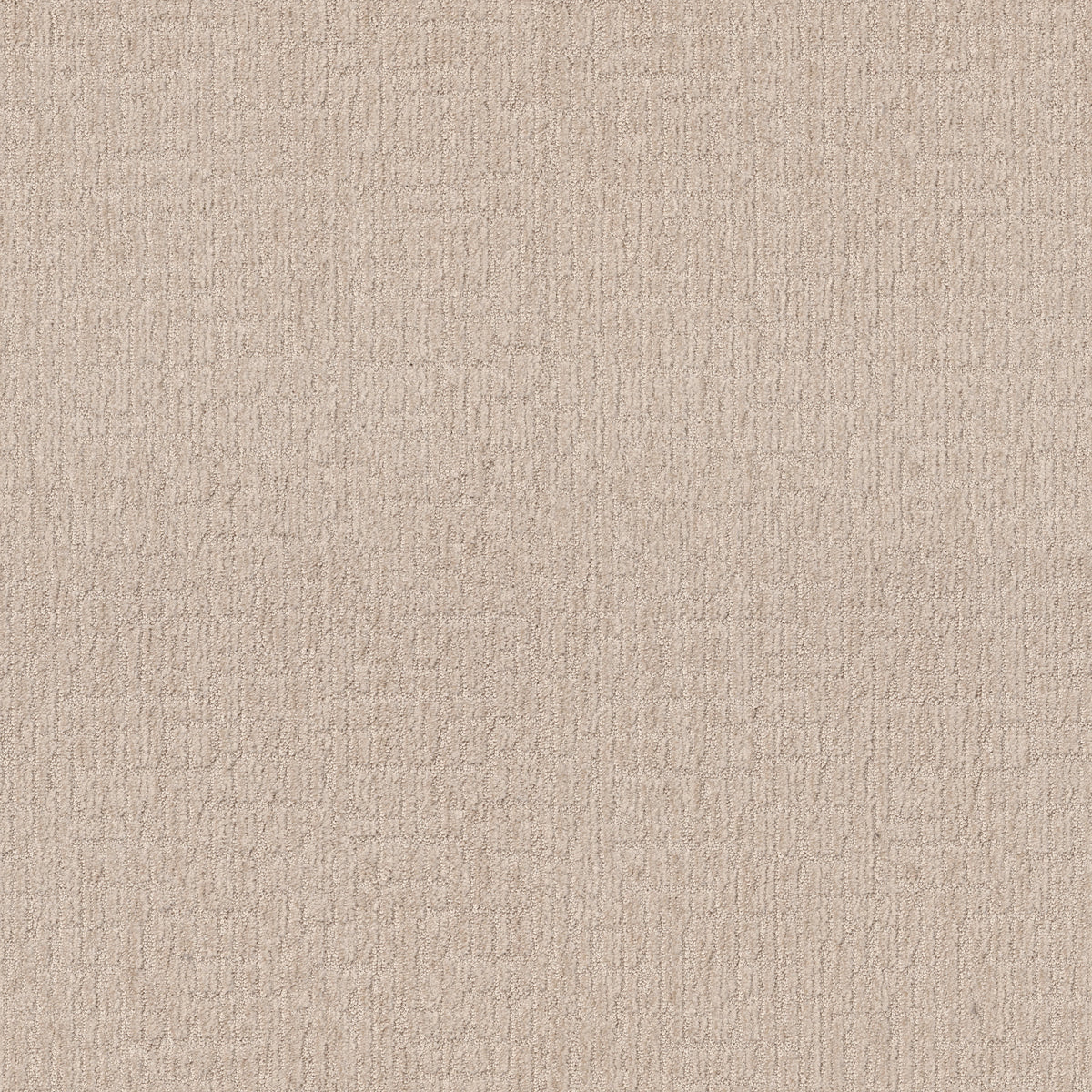 Wanderer - Cotton Tail