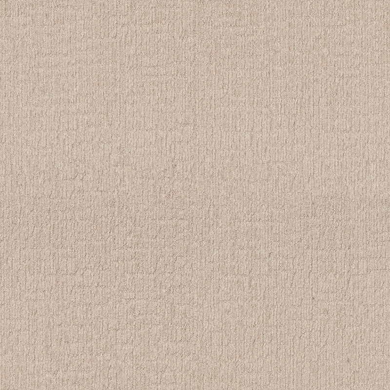 Wanderer - Cotton Tail