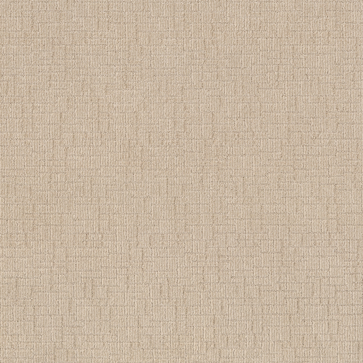 Wayfarer - Cotton Tail