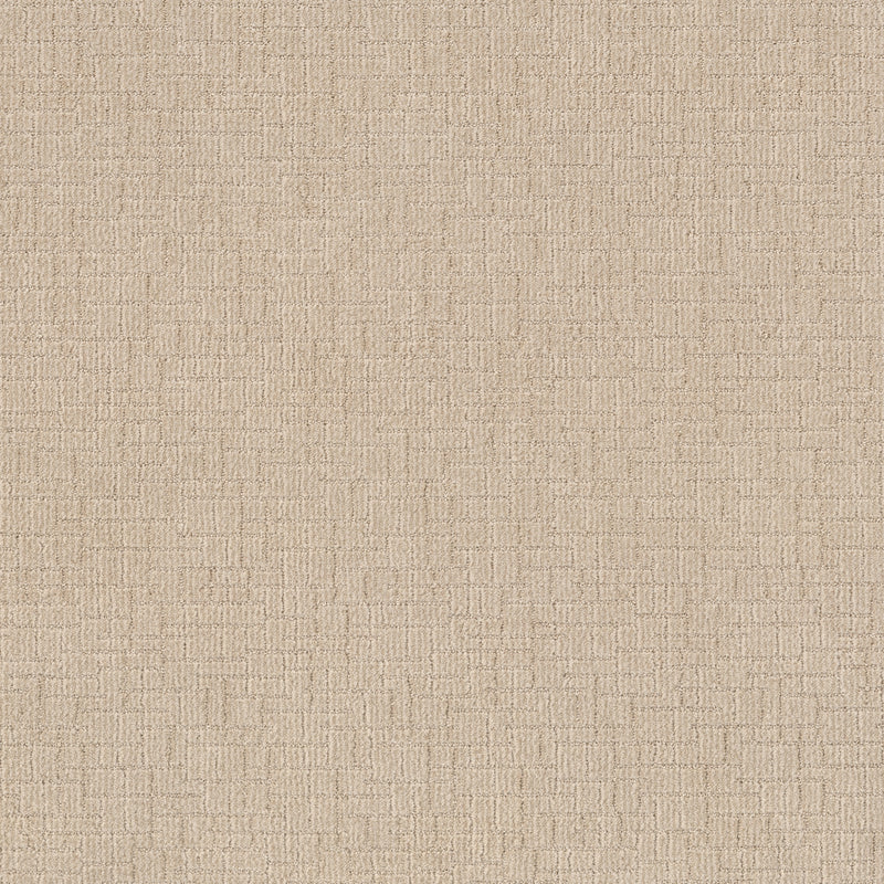 Wayfarer - Cotton Tail
