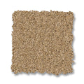 Winter Wheat