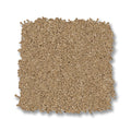 Winter Wheat
