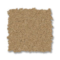 Winter Wheat