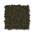 Dark Olive
