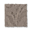 Toasty Gray