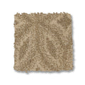 Beach Grass