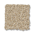 Beach Grass