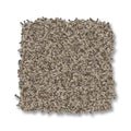Chic Taupe