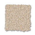 Somerset - Risotto