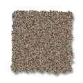 Chic Taupe