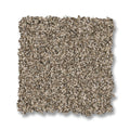Chic Taupe